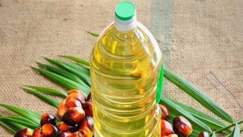 पाम ऑयल की खाद्य तेल सुरक्षा में अहम भूमिका: गलतफहमियों को वैज्ञानिक तथ्यों से चुनौती देने की जरूरत
