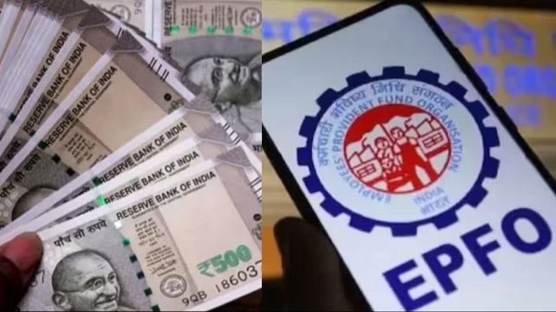 EPFO ने पेंशन, बीमा और ट्रस्टों के लिए एमनेस्टी स्कीम की मंजूरी दी, PF ब्याज दर जारी