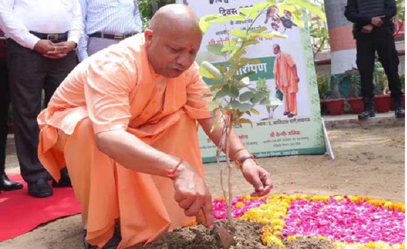 हरित प्रदेश’ की ओर यूपी! 9 साल में 242 करोड़ से अधिक पौधे रोपे गए