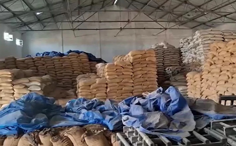 MP: ओबेदुल्लागंज के वेयर हाउस में सड़ गया 35 करोड़ रुपये कीमत का हजारों टन गेहूं!