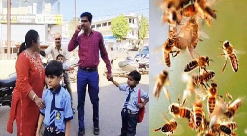 गुना के स्कूल में मधुमक्खियों का हमला, 36 से ज्यादा बच्चे-स्टाफ घायल, आधे घंटे तक मची भगदड़