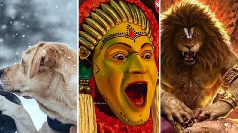 ना बड़े स्टार, ना भारी बजट, सिर्फ दमदार कहानी ने बॉक्स ऑफिस पर रचा इतिहास