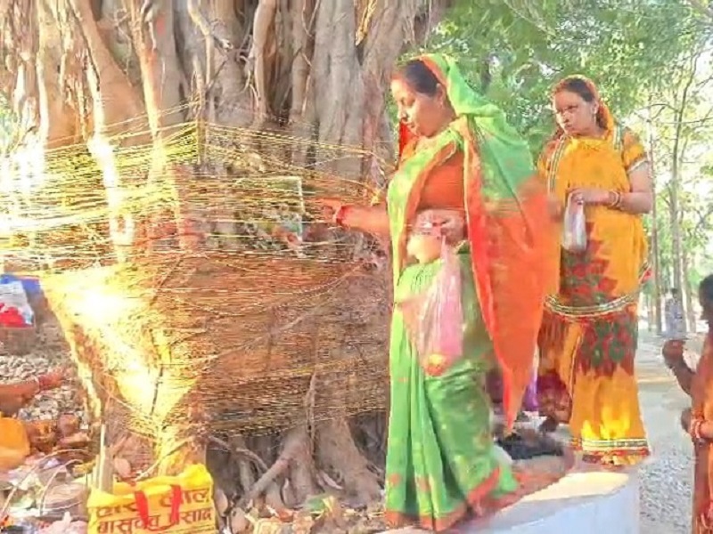 श्रद्धा और आस्था के साथ बरेली में मनाया गया वट सावित्री पर्व, सुहागिन महिलाओं ने की पूजा-अर्चना