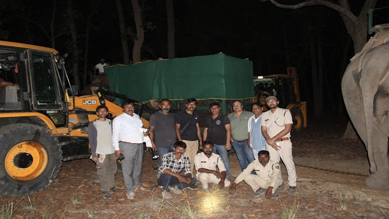 मध्यप्रदेश में बड़ा रेस्क्यू ऑपरेशन: E-5 हाथी को मिला सहारा, तनाव में था हिंसक व्यवहार