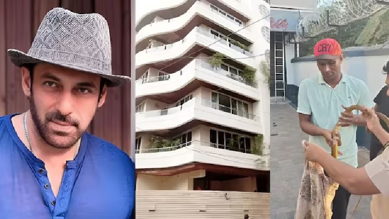 .गैलेक्सी अपार्टमेंट में अचानक घुसा रैट स्नेक, सलमान खान के घर पर दहशत का माहौल