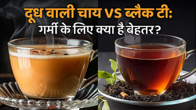 रोज पीते हैं चाय तो जान लें फर्क: दूध वाली और काली चाय में कौन ज्यादा फायदेमंद