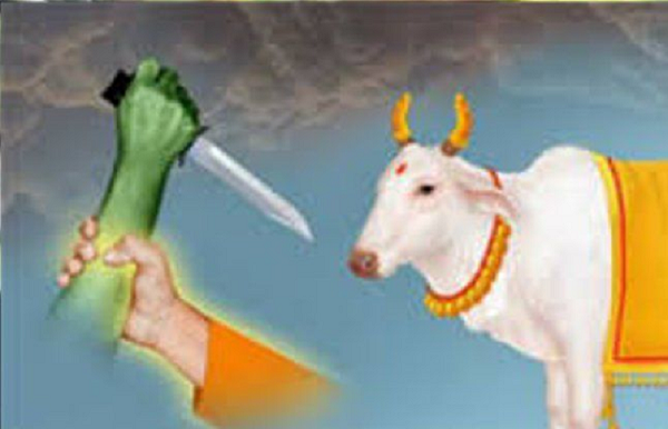 असम में बकरीद पर बड़ा सामाजिक संदेश: गो-कुर्बानी से परहेज की स्वैच्छिक पहल, भाईचारे की नई मिसाल