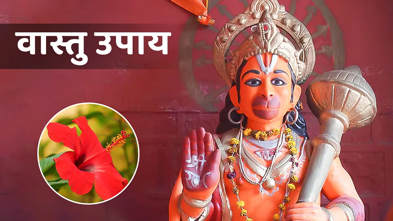 मंगलवार के वास्तु टिप्स: घर में बढ़ेगी सकारात्मक ऊर्जा और दूर होंगे संकट