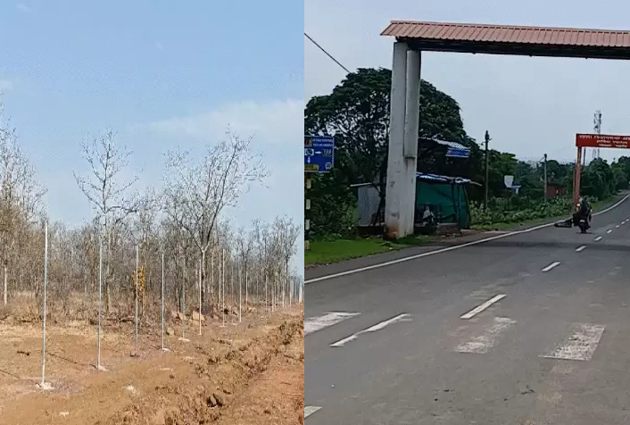 चीता प्रोजेक्ट में बड़ा बदलाव: अब कूनो से होंगे ट्रांसफर, विशाल बाड़े में होगी नई शिफ्टिंग