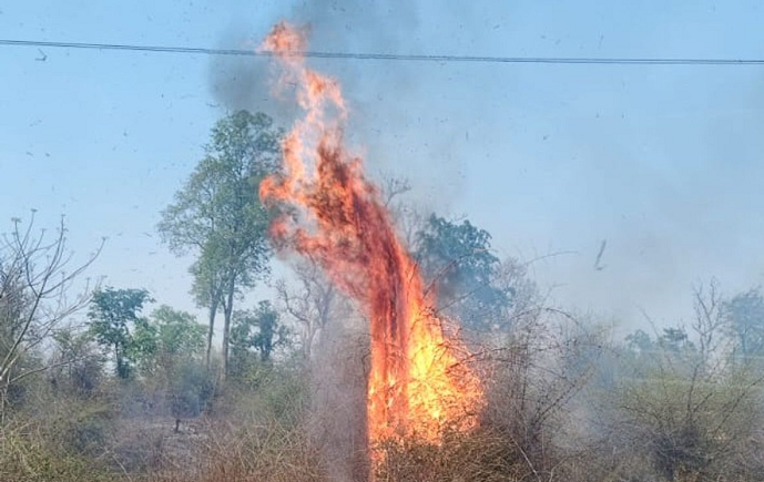 झुरही जंगल में भीषण आग से हड़कंप, वन विभाग की कार्यप्रणाली पर उठे सवाल