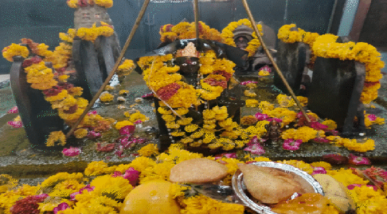 वट सावित्री व्रत और अमावस्या का संयोग, ग्वालियर में शनि मंदिरों में विशेष पूजा