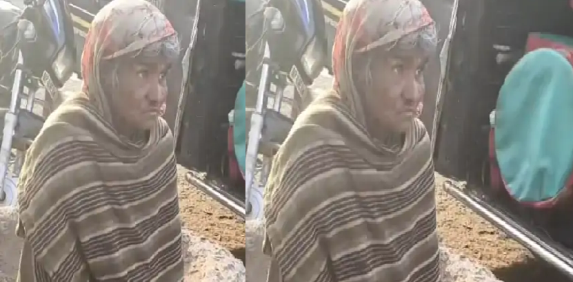 सड़कों पर घूमते कुत्तों ने किया हमला, नगर पालिका पर उठे सवाल