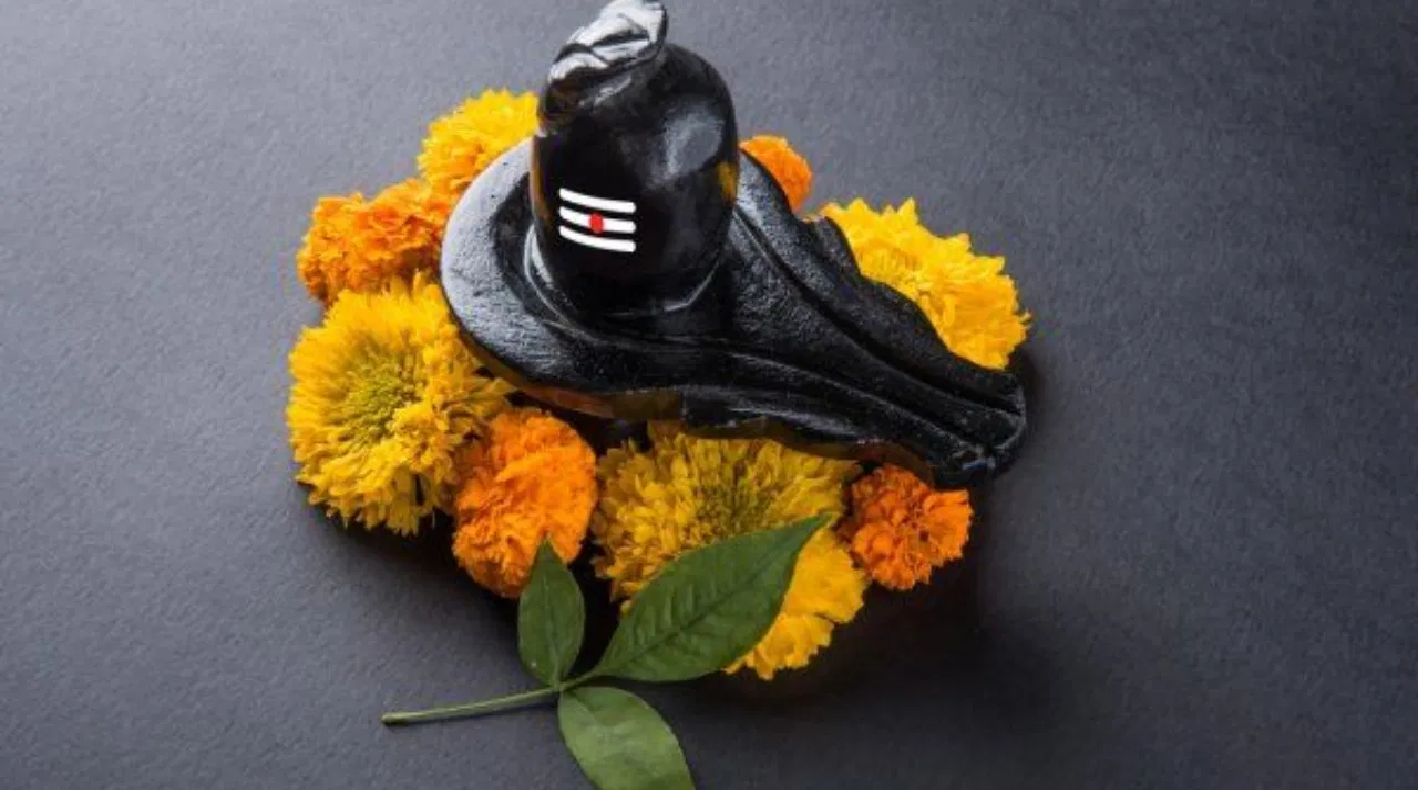 भगवान शिव को कौन से फूल प्रिय हैं, पूजा में क्या करें इस्तेमाल