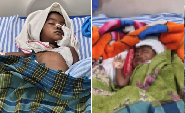 आवारा कुत्तों का आतंक: जबलपुर में मासूम बहनों पर हमला, इलाके में दहशत