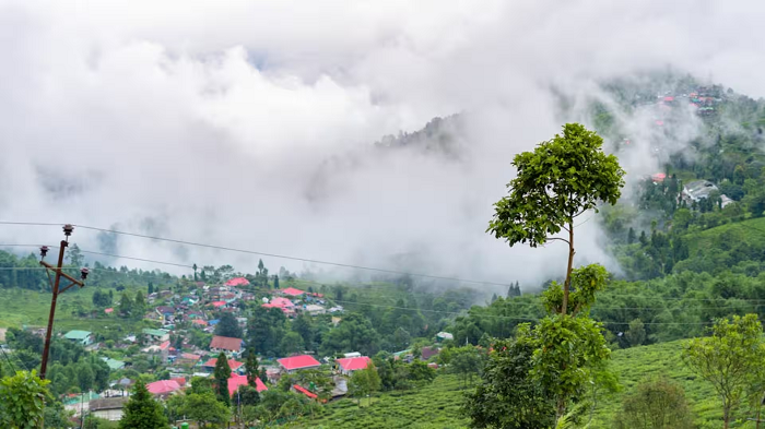 भीषण गर्मी में घूमने के लिए परफेक्ट शहर, फैमिली ट्रिप की पूरी गाइड