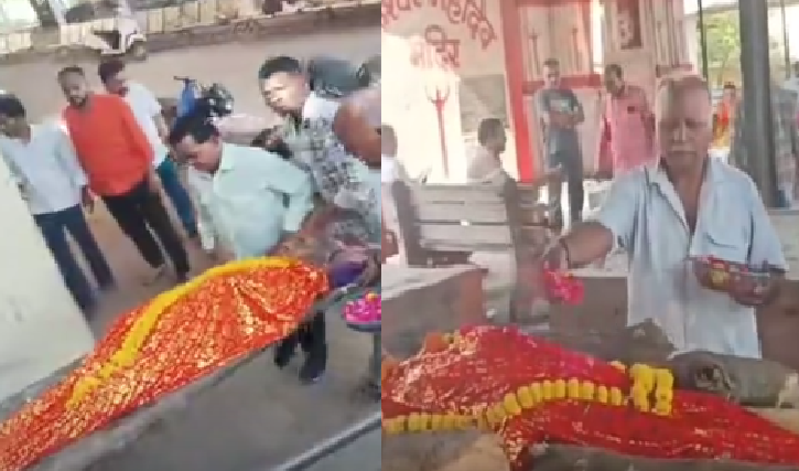 मंदिर पहुंची लेकिन दर्शन न कर सकी: उज्जैन में बुजुर्ग महिला की दर्दनाक मौत