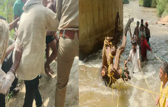 रीवा में जान जोखिम में डालकर बचाई जिंदगी, तेज बहाव से निकाला व्यक्ति