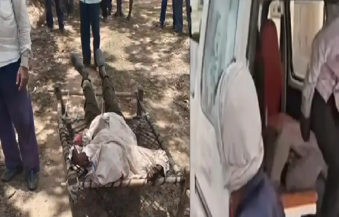 टीकमगढ़ में जंगल में मिला बुजुर्ग का शव: बेटे ने जताई हत्या की आशंका, गोली के निशान मिलने का दावा