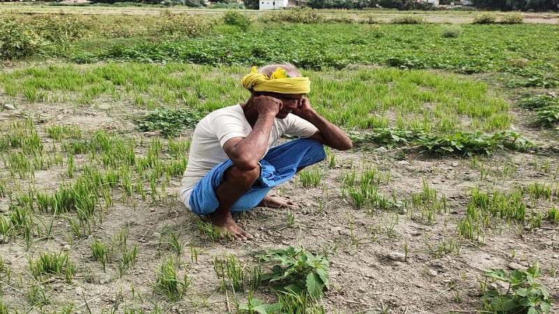मानसून की सुस्ती से बढ़ी कृषि क्षेत्र की चिंता, कपास-सोयाबीन की बुआई घटी, टेक्सटाइल सेक्टर पर पड़ सकता है असर