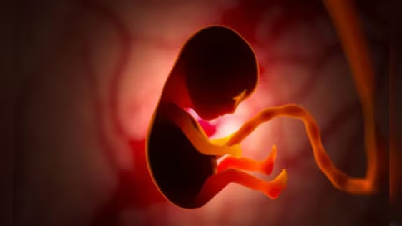 पाकिस्तान में 500 किलो मानव प्लेसेंटा बरामद, भेड़ की नाल बताकर विदेश भेजने की थी तैयारी