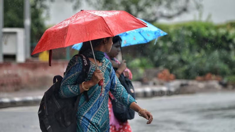MP के 6 जिलों में आज भारी बारिश की चेतावनी, 40 जिलों में अब भी नहीं पहुंचा मानसून