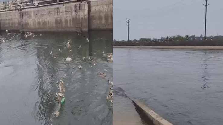 रीवा के सिलपरा डैम में सेना का जवान डूबा, SDERF का सर्च ऑपरेशन जारी