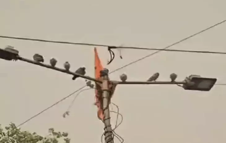 इंदौर में बदला मौसम का मिजाज, प्री-मानसून ने दी दस्तक; बारिश और तेज हवाओं से तापमान 7 डिग्री गिरा