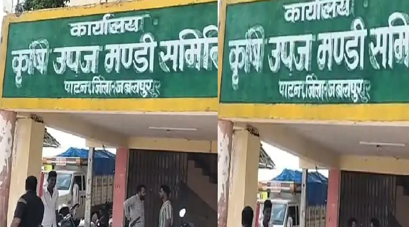 पाटन कृषि मंडी में 80 क्विंटल मूंग की चोरी, ट्रक बाहर ले जाकर खाली किया और फिर वापस खड़ा कर गए बदमाश