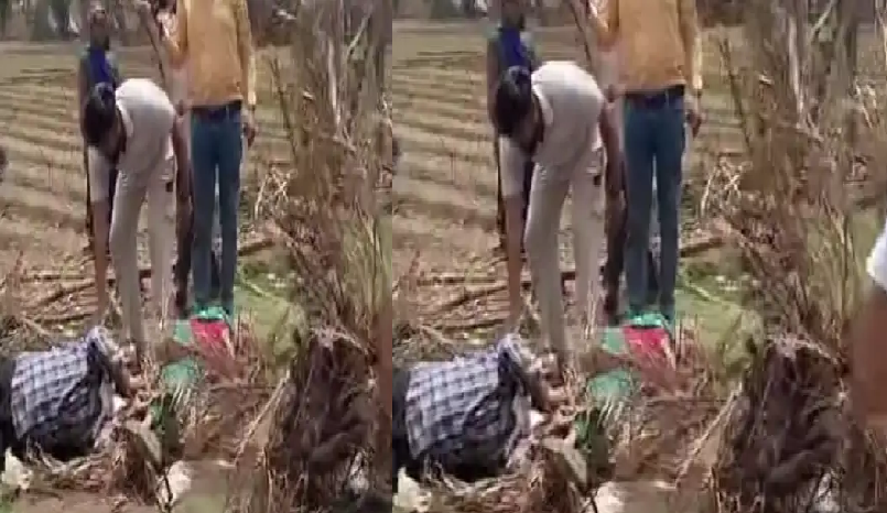 रास्ते के विवाद ने लिया हिंसक रूप, बुजुर्ग महिला को घसीटा; लाठी-डंडों से हुई मारपीट का वीडियो वायरल