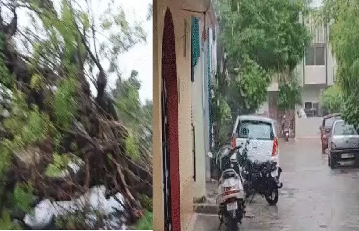 मध्य प्रदेश में मानसून का असर तेज: 50 जिलों में बारिश का अलर्ट, बिजली गिरने से दो की मौत, बैतूल में नदी बनी काल