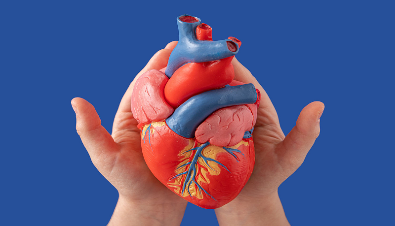 दिल की धड़कनों का बिगड़ा संतुलन पड़ सकता है भारी जानिए Atrial Fibrillation के लक्षण कारण और बचाव के आसान उपाय