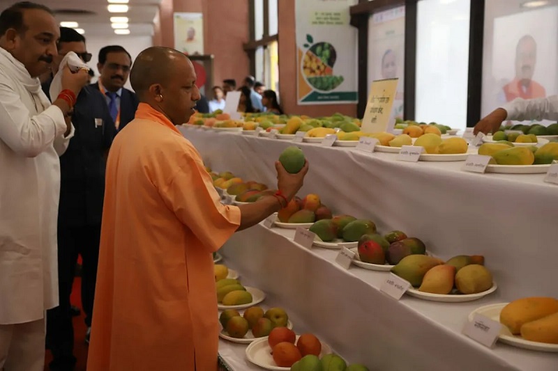 आम महोत्सव में दिखेगी स्वाद, तकनीक और निर्यात की नई तस्वीर, किसानों से लेकर बच्चों तक के लिए होंगे विशेष आकर्षण, यूपी की आम अर्थव्यवस्था बनेगी चर्चा का केंद्र