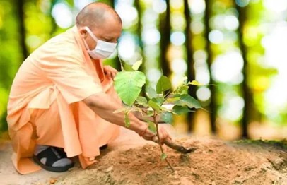 CM योगी गोरखपुर से शुरू कल करेंगे 35 करोड़ पौधे लगाने के अभियान का शुभारंभ