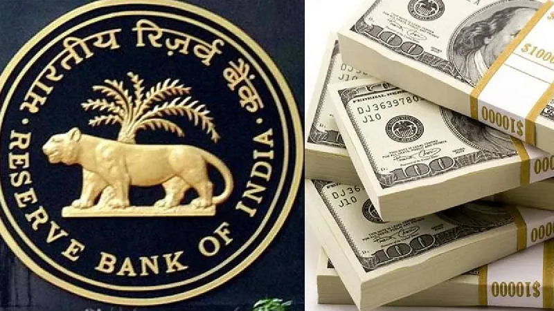 भारत के विदेशी मुद्रा भंडार में जोरदार उछाल, 674.19 अरब डॉलर पर पहुंचा फॉरेक्स रिजर्व; गोल्ड रिजर्व भी मजबूत हुआ
