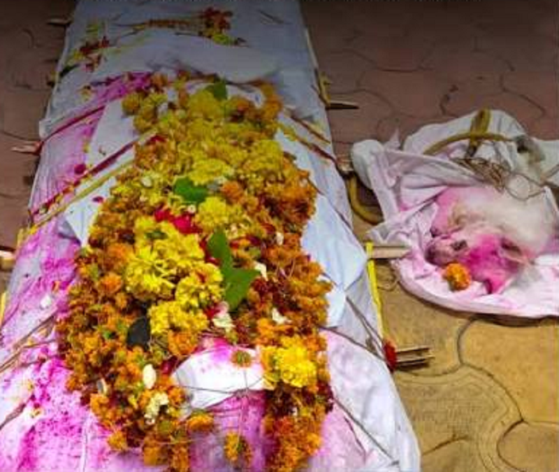 15 साल का साथ एक ही दिन हुआ खत्म, मालिक के निधन के बाद अंतिम यात्रा में डॉग ने भी तोड़ा दम, भावुक विदाई की अनोखी मिसाल