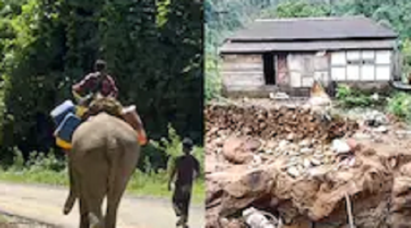 जब सड़कें और पुल बह गए तो हाथियों ने संभाली जिम्मेदारी, अरुणाचल के बाढ़ प्रभावित गांवों तक राहत पहुंचाने की बनी अनोखी जीवनरेखा