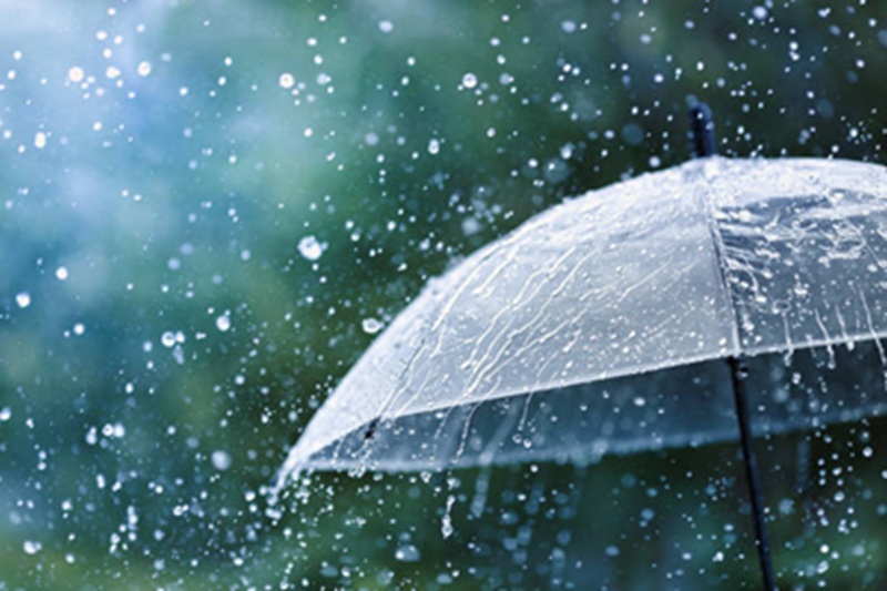MP Weather: तीन दिन हल्की बारिश के आसार, 14 जुलाई से फिर तेज बारिश की संभावना