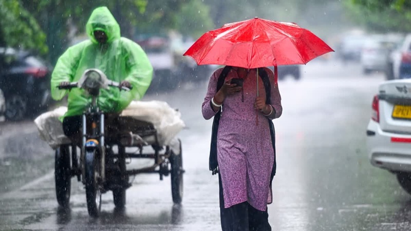 एमपी में मानसून का जोर बरकरार, आज भोपाल-इंदौर समेत 35 जिलों में भारी बारिश का अलर्ट