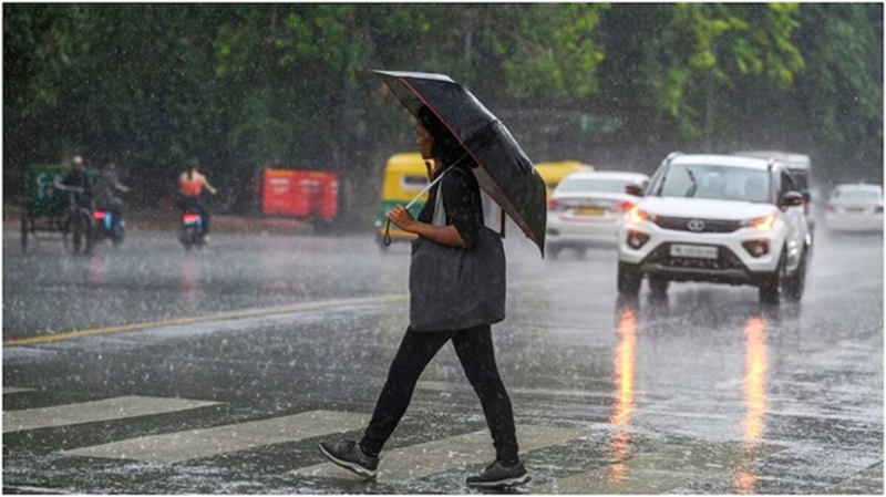 एमपी में मानसून ने पकड़ी रफ्तार, 3 मजबूत सिस्टम एक्टिव, 17 जिलों में भारी बारिश का अलर्ट