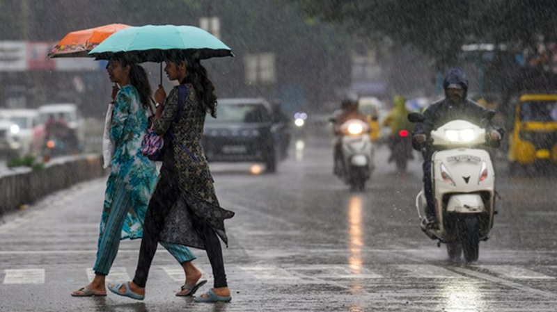 एमपी में मानसून ने पकड़ी रफ्तार, आज 13 जिलों में भारी से अति भारी बारिश की चेतावनी