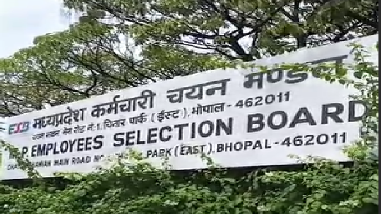 सरकारी नौकरी का सुनहरा मौका मध्यप्रदेश में 2784 कृषि विस्तार अधिकारी पदों पर निकली भर्ती जानें योग्यता आवेदन और परीक्षा की पूरी जानकारी
