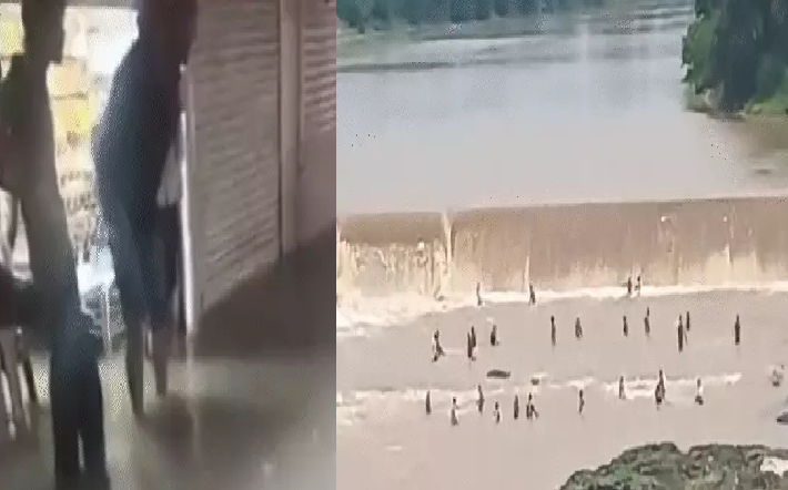 एमपी में अगले 24 घंटे भारी, 23 जिलों में मूसलाधार बारिश की चेतावनी; नदियां उफान पर, प्रशासन अलर्ट