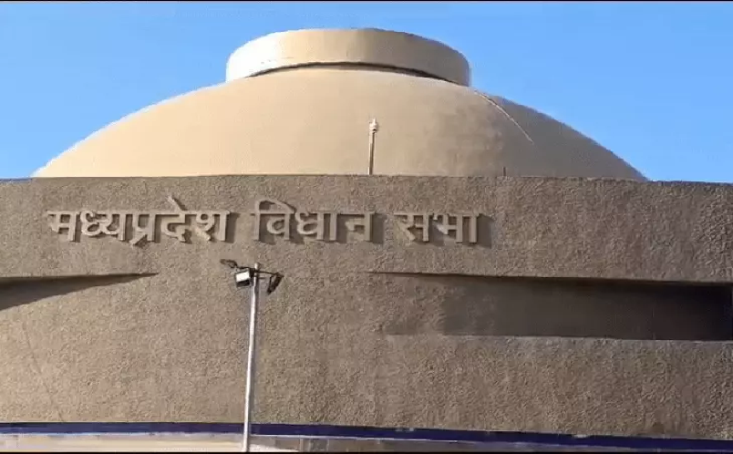 मानसून ने बदली मध्य प्रदेश की तस्वीर: 35 जिलों में मेहरबान बादल, खजुराहो-मंडला में रिकॉर्ड बारिश, कई इलाकों में बढ़ा खतरा
