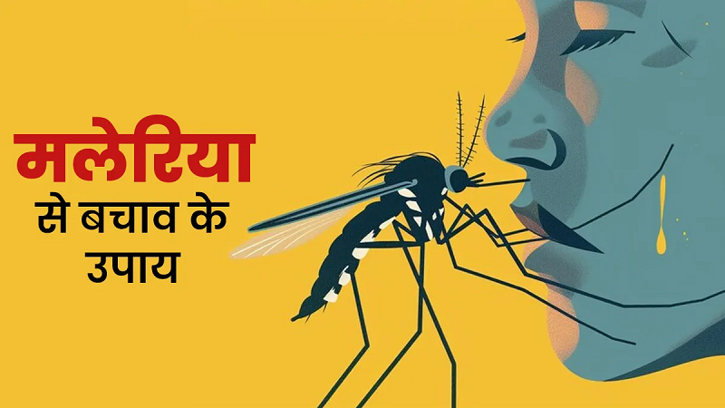 मलेरिया से बचाव के लिए जानिए जरूरी सावधानियां और घरेलू सुरक्षा उपाय जो रखेंगे पूरे परिवार को सुरक्षित