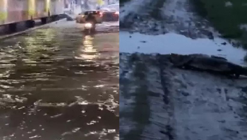 यूपी में बारिश का कहर, सड़कों पर दिखे मगरमच्छ; घरों में घुसा पानी, 66 जिलों में भारी बारिश का अलर्ट
