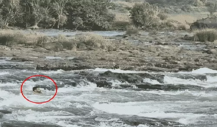 महेश्वर में दर्दनाक हादसा परिवार के सामने नर्मदा की तेज धारा में बहा इंदौर का युवक कुछ सेकेंड में हुआ लापता