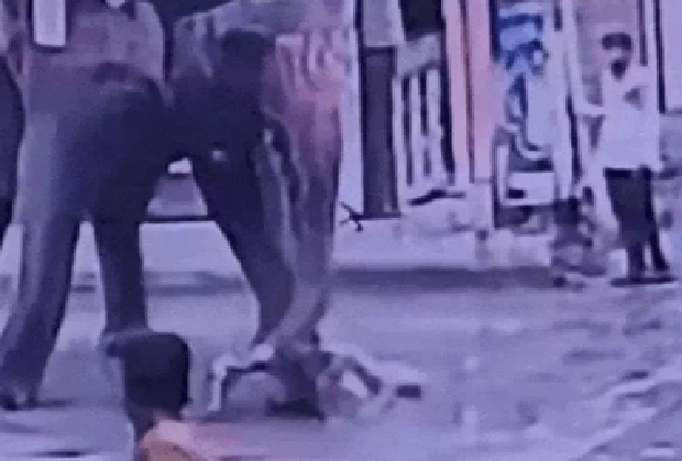 इंदौर में हाथी के हमले से गई ऑटो चालक की जान एक्सपर्ट ने बताया कब और क्यों सबसे ज्यादा आक्रामक हो जाता है गजराज