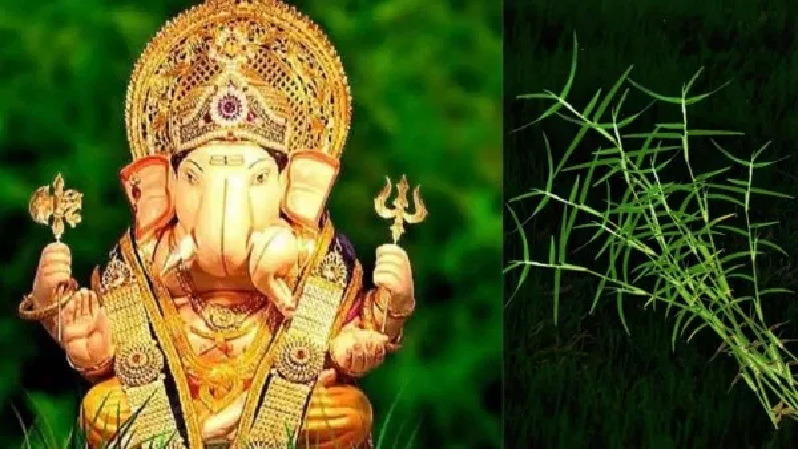गणेश जी को दूर्वा अर्पित किए बिना क्यों अधूरी मानी जाती है पूजा जानिए धार्मिक मान्यता शास्त्रीय कारण और शुभ फल