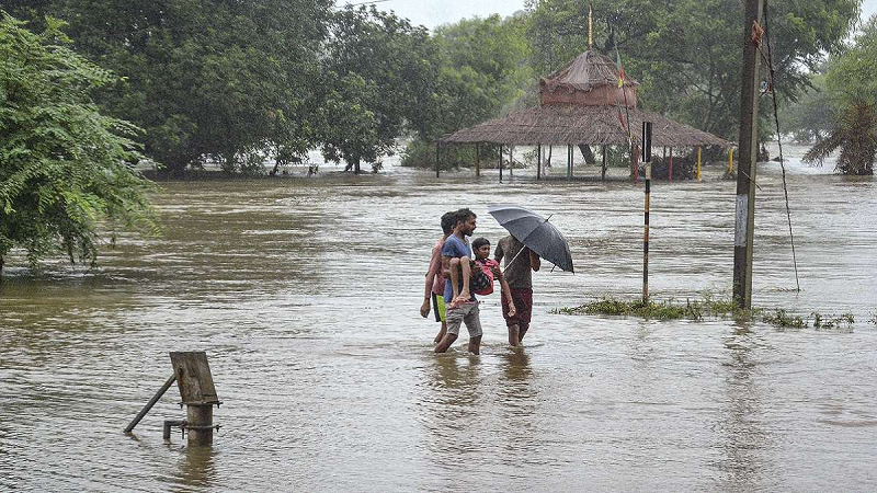 बैतूल हादसे के बाद बढ़ी चिंता, तीन मानसूनी सिस्टम सक्रिय; मध्य प्रदेश के 12 जिलों में रेड अलर्ट जैसे हालात