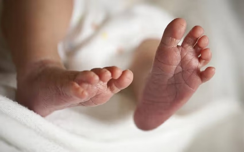 MP: छिंदवाड़ा NICU अग्निकांड में 1 बच्ची की मौत, 2 झुलसे बच्चों के इलाज का पूरा खर्च उठाएगी सरकार